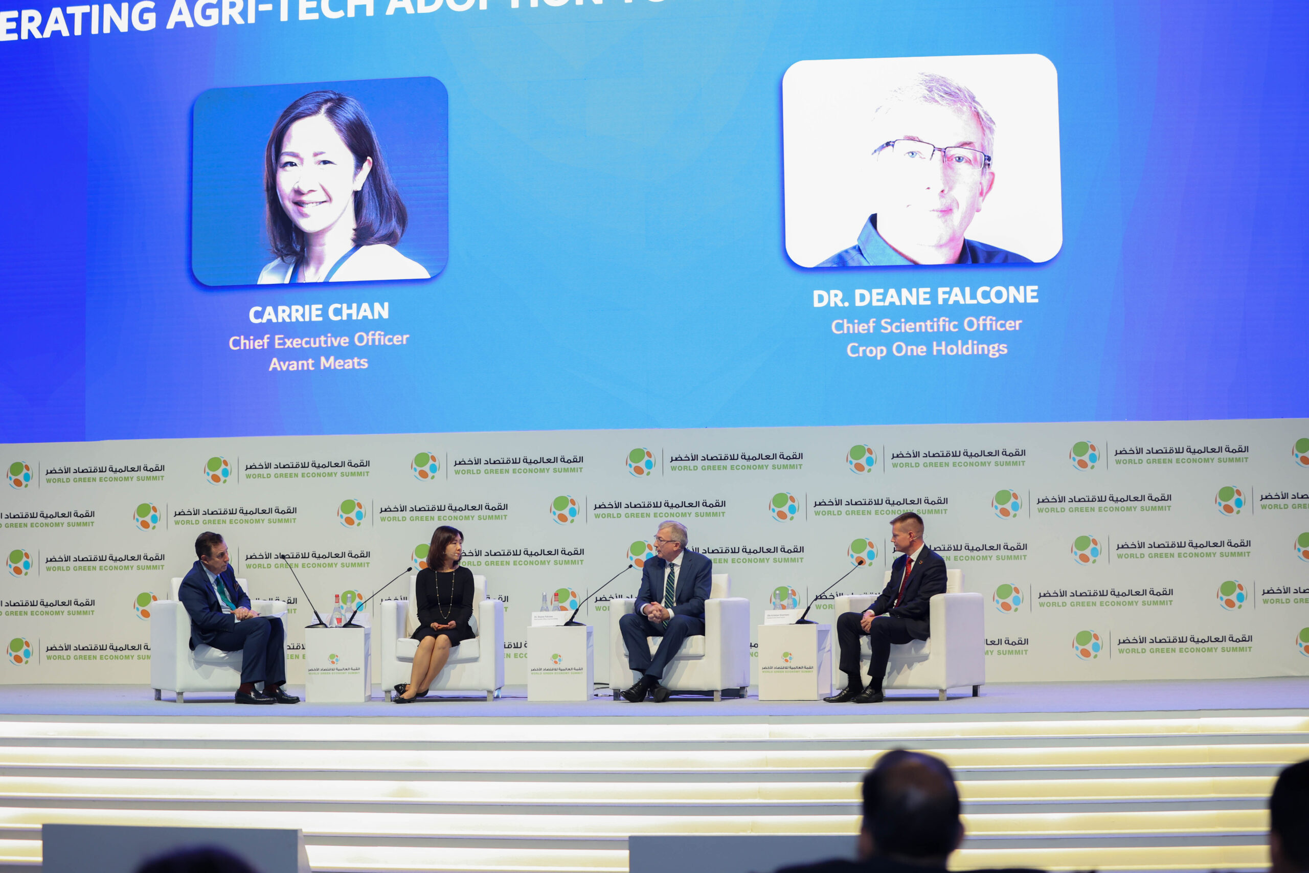 10 high level panel discussions held on the first day of WGES