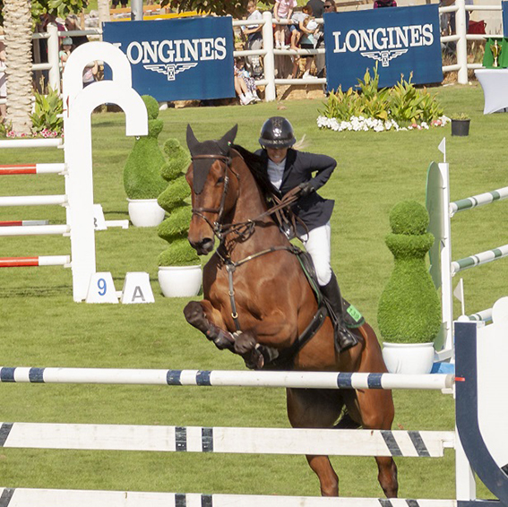 The Sustainable City International Horse Show 2023 kicks off this week