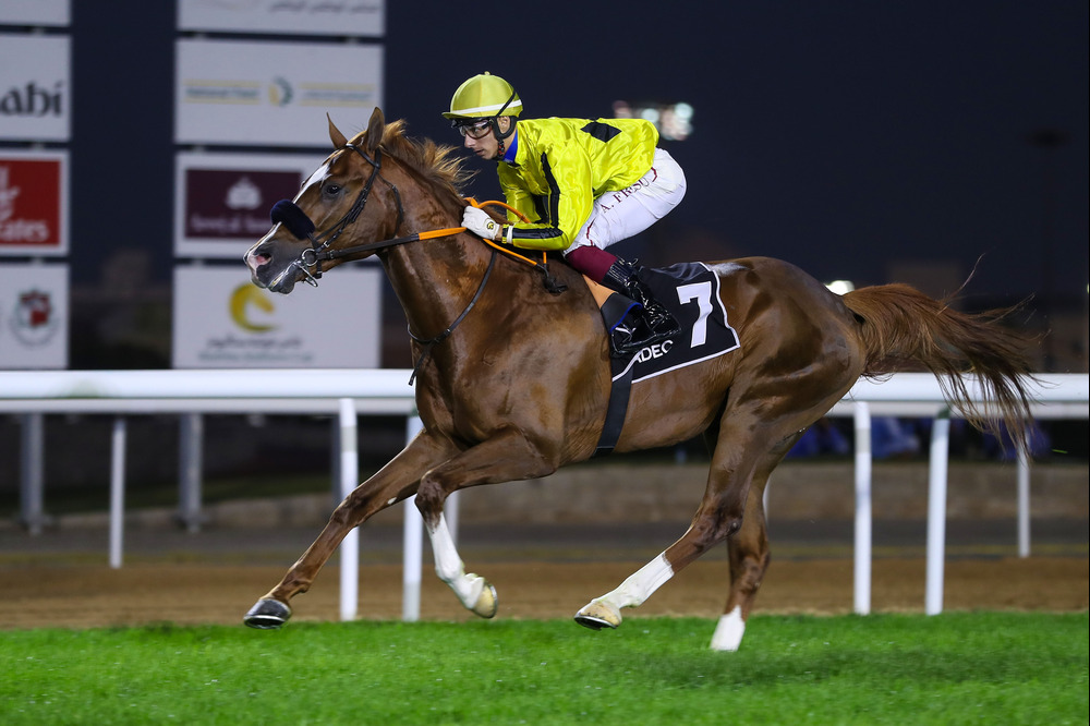 The prize pool for The UAE President’s Cup for Purebred Arabian Horses has been increased to AED 4.5 million.